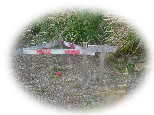 DSC00960as.jpg (3533 �o�C�g)