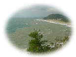 DSC01013as.jpg (2632 �o�C�g)