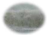 DSC01042as.jpg (1891 �o�C�g)