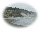 DSC01095as.jpg (2399 �o�C�g)