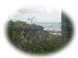 DSC01108as.jpg (2671 �o�C�g)