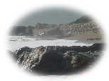 DSC01114as.jpg (2718 �o�C�g)