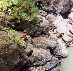 ���[���A�����������瑁���������Ă�������