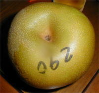 �P�Q�X�O�~�̃i�V�i������I�����肿���j