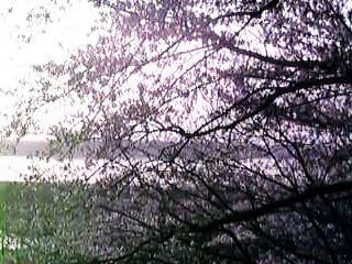 ��׏������̍�