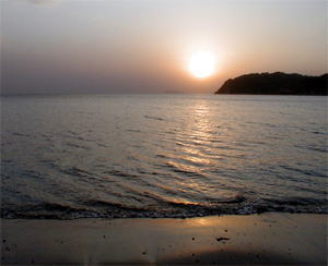 �̂������Ȃ�܂��񂩁H