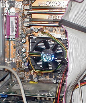 �o�������������S