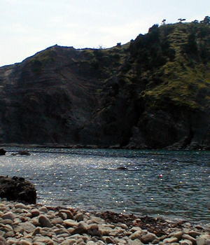 ����A�҂��Ă�