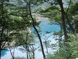 ���l����