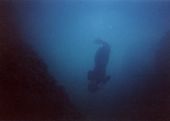 ���ނĂ������