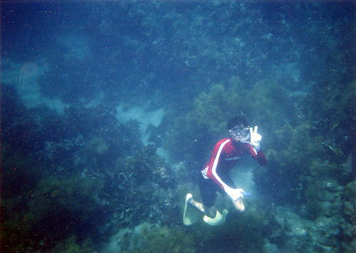 ���̓����x���݂�I