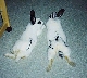 mege&moko.jpg