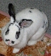 moko03.jpg