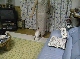 05070289.JPG