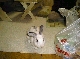05080308.JPG