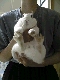 06020037.JPG