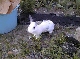06020040.JPG