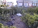 06020041.JPG