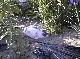 06020044.JPG