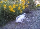 06020045.JPG