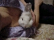 DSC00020.JPG