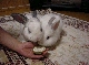 DSC00021.JPG