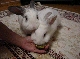 DSC00022.JPG