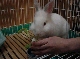 DSC00024.JPG