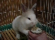 DSC00025.JPG