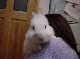 DSC00026.JPG