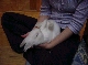 DSC00027.JPG