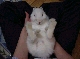 DSC00028.JPG