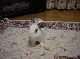 DSC00036.JPG