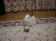 DSC00038.JPG