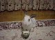 DSC00039.JPG