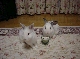DSC00042.JPG