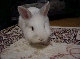 DSC00044.JPG