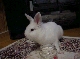DSC00045.JPG