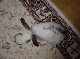 DSC00047.JPG