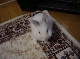 DSC00048.JPG