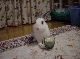 DSC00050.JPG