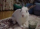 DSC00051.JPG