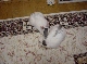 DSC00056.JPG