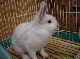 DSC00058.JPG