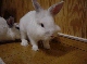 DSC00059.JPG