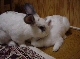 DSC00060.JPG