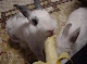 DSC00072.JPG