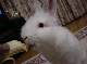 DSC00076.JPG