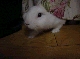 DSC00068.JPG