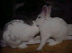 DSC00078.JPG